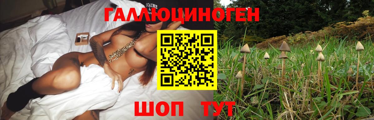 Псилоцибиновые грибы Magic Shrooms Новокузнецк