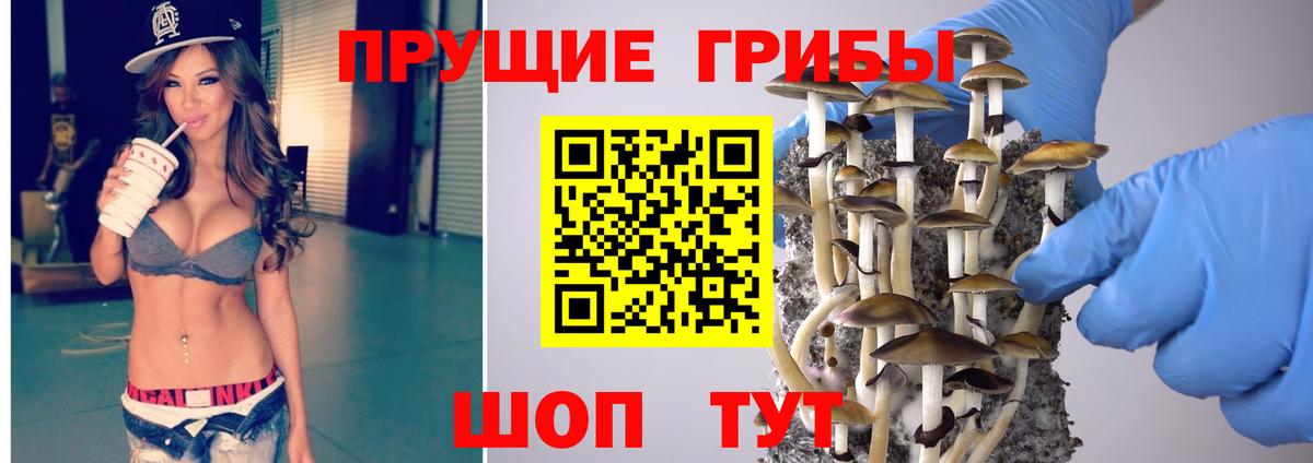 Псилоцибиновые грибы прущие грибы  Вход с VPN  Псилоцибиновые грибы GOLDEN TEACHER  Новокузнецк 